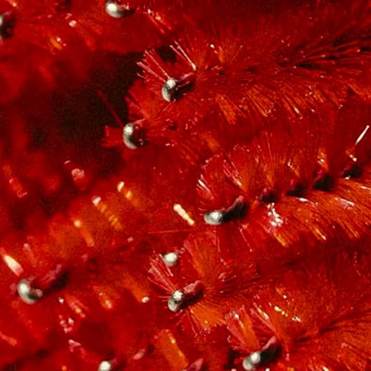 Two Week Fill Package at Valor Lashes in Wimauma, FL